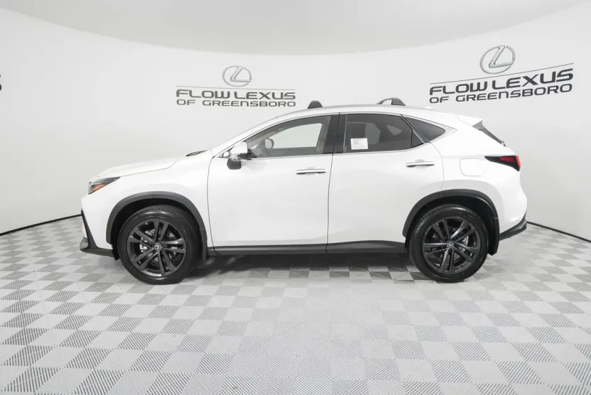 2025 Lexus NX 450h+ Luxury photo 1