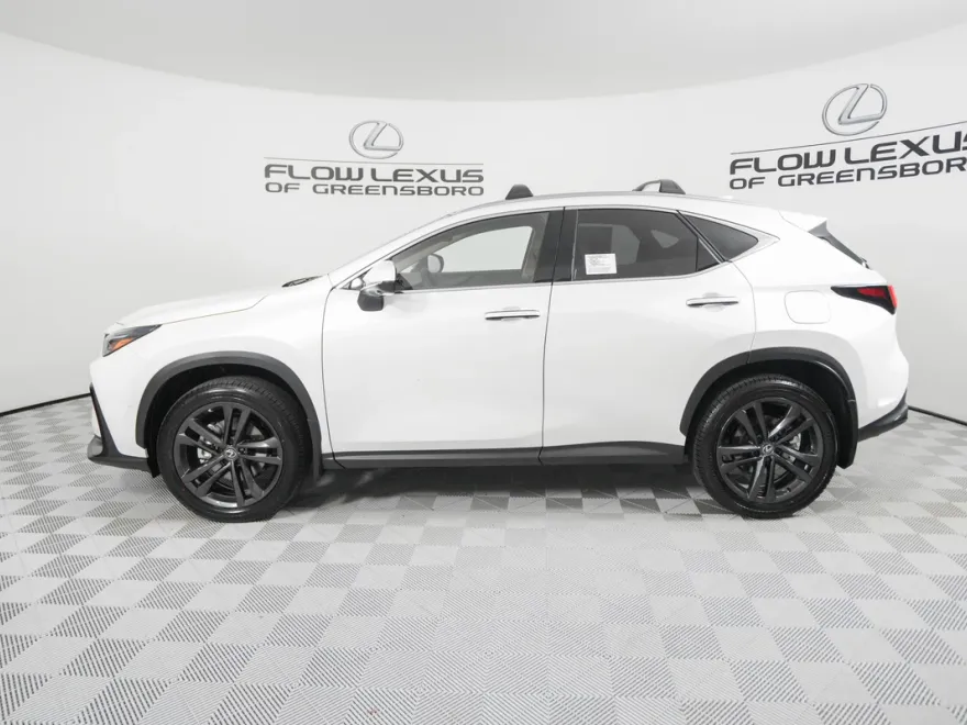 2025 Lexus NX 450h+ Luxury photo 1