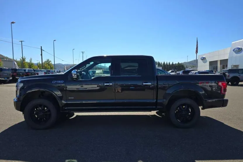 2015 Ford F-150 Platinum photo 1
