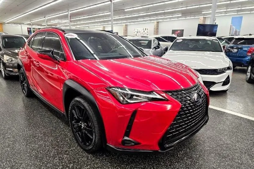 2021 Lexus UX 250h photo 1