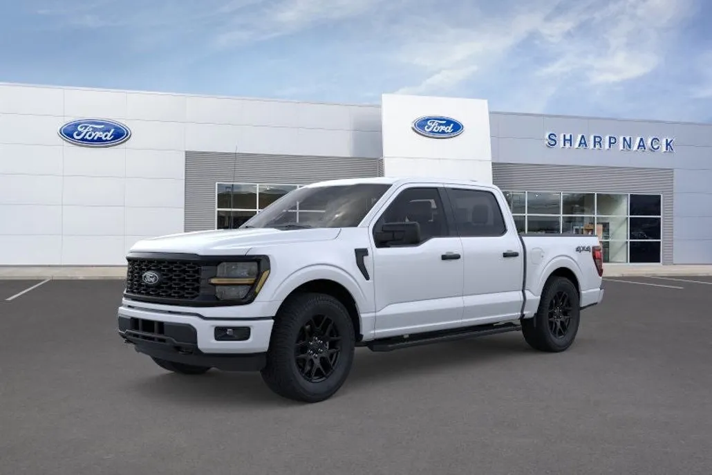 2025 Ford F-150 STX photo 1