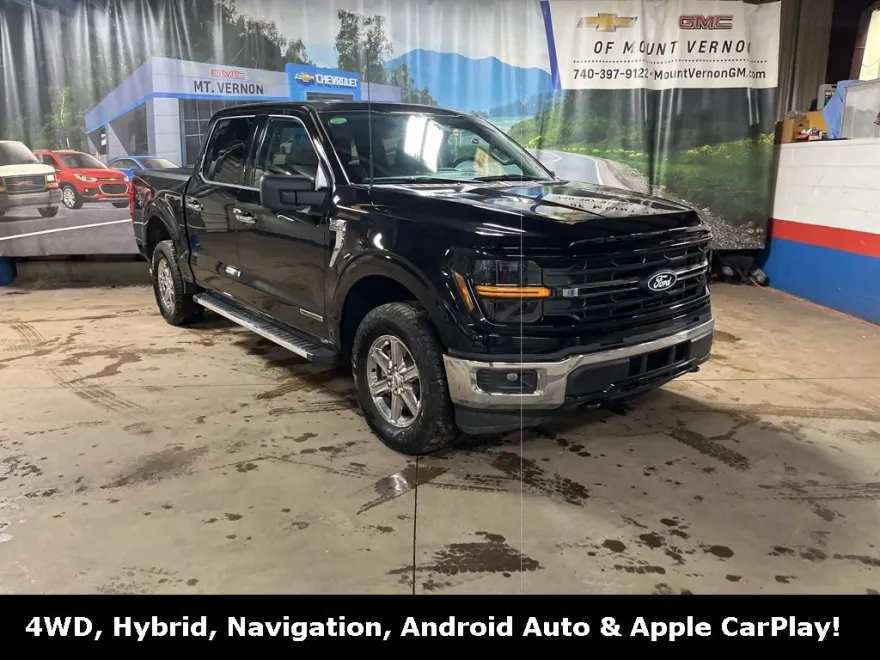 2024 Ford F-150 XLT photo 1