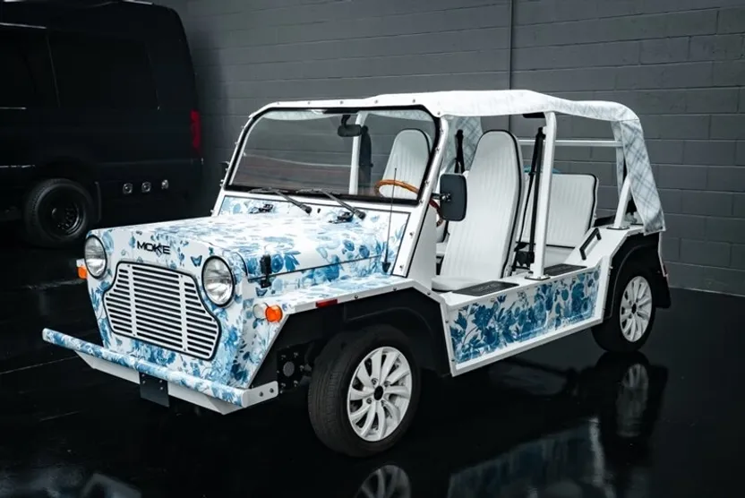 2022 Cruise Car MOKE photo 1
