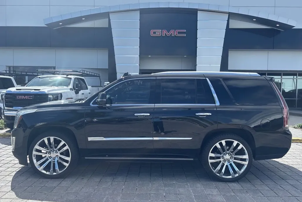 2019 Cadillac Escalade Platinum photo 1