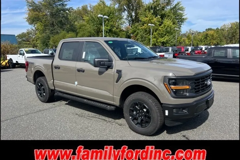 2025 Ford F-150 STX photo 1