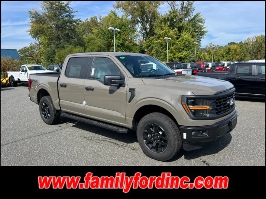 2025 Ford F-150 STX photo 1