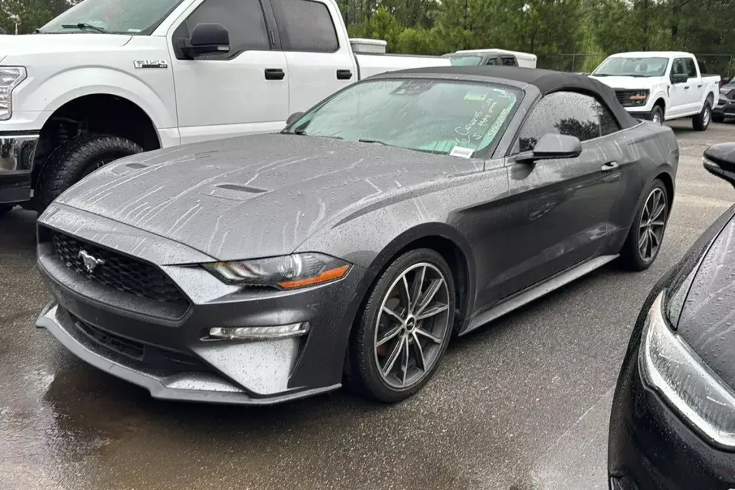 2019 Ford Mustang EcoBoost Premium photo 1