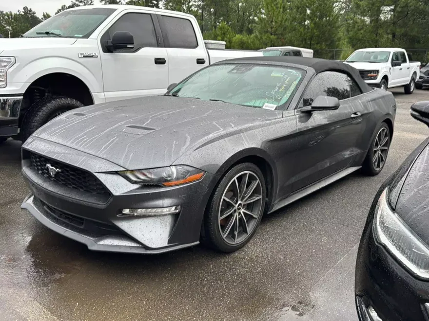 2019 Ford Mustang EcoBoost Premium photo 1