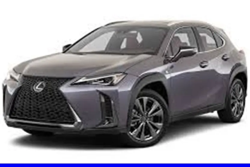 2021 Lexus UX 200 photo 1