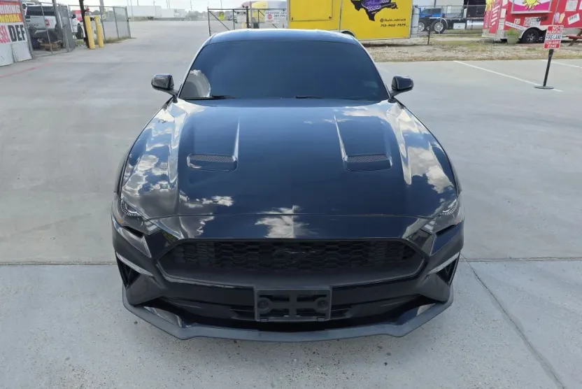 2019 Ford Mustang EcoBoost photo 1