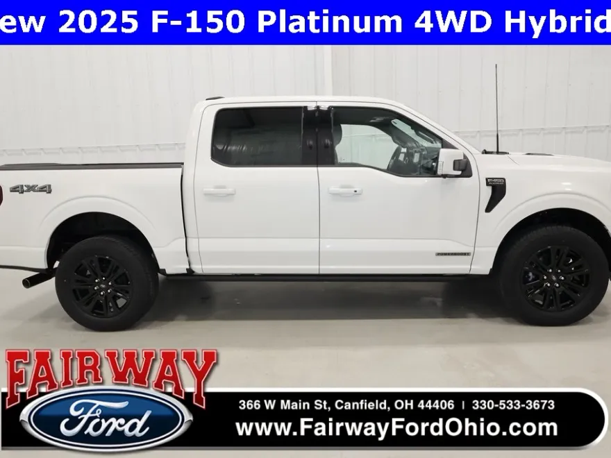 2025 Ford F-150 Platinum photo 1