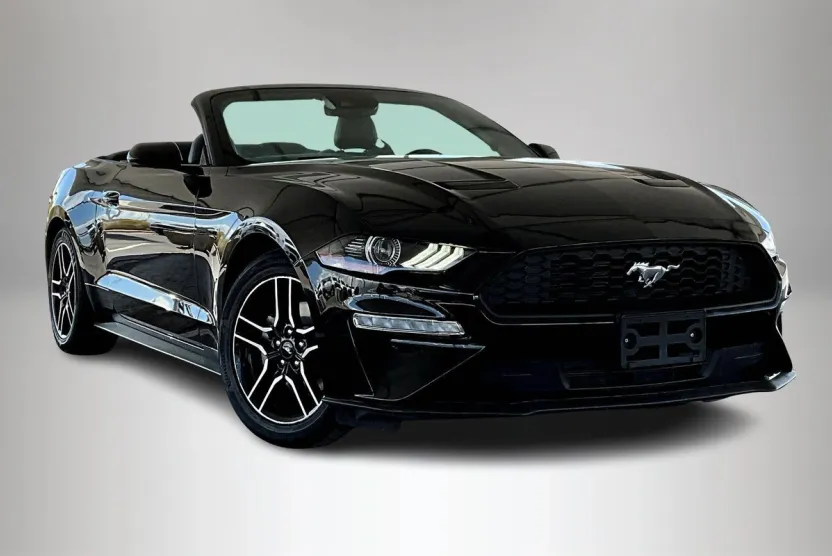 2023 Ford Mustang EcoBoost Premium photo 1