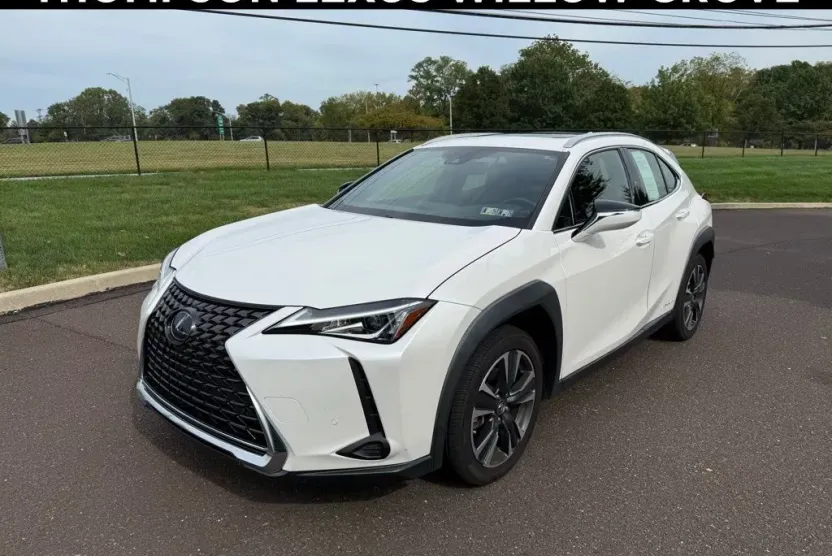 2021 Lexus UX 250h photo 1