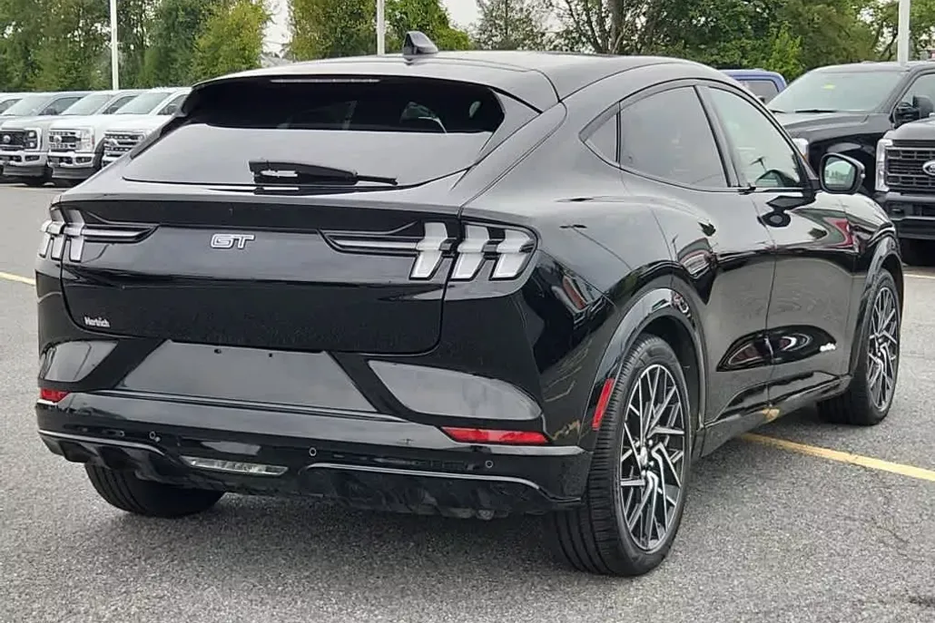 2022 Ford Mustang Mach-E GT photo 1