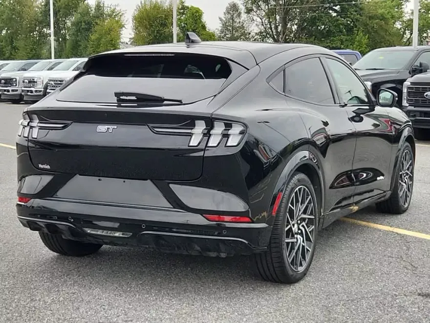 2022 Ford Mustang Mach-E GT photo 1