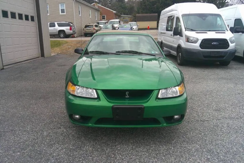 1999 Ford Mustang Cobra photo 1