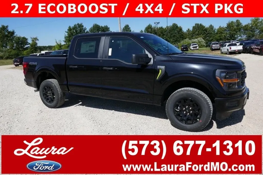 2025 Ford F-150 STX photo 1