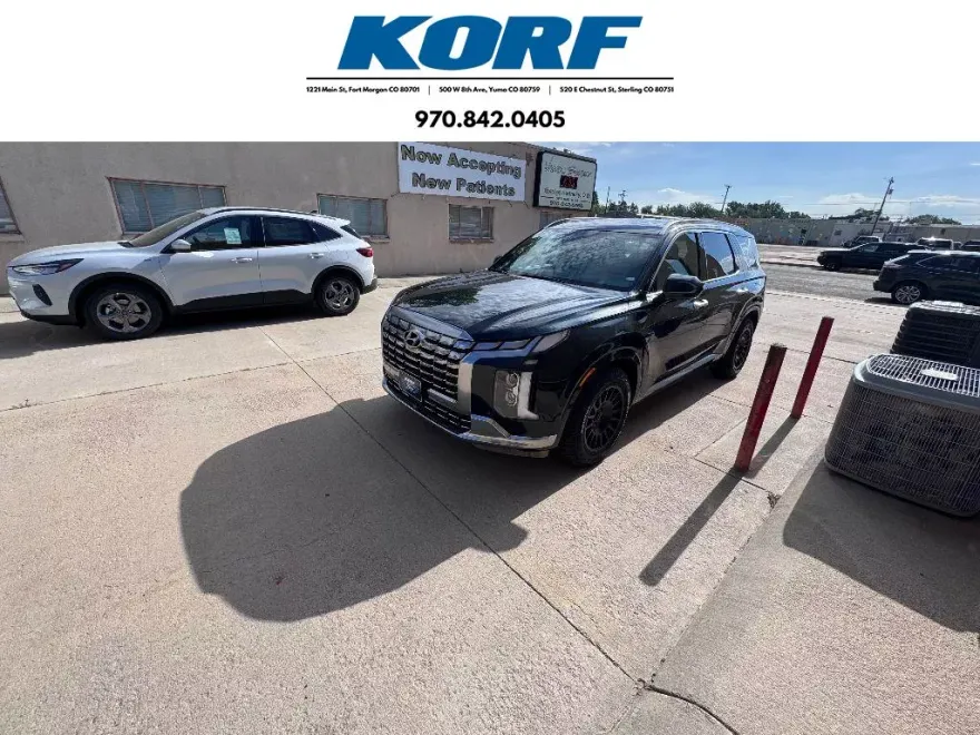 2024 Hyundai Palisade Calligraphy photo 1