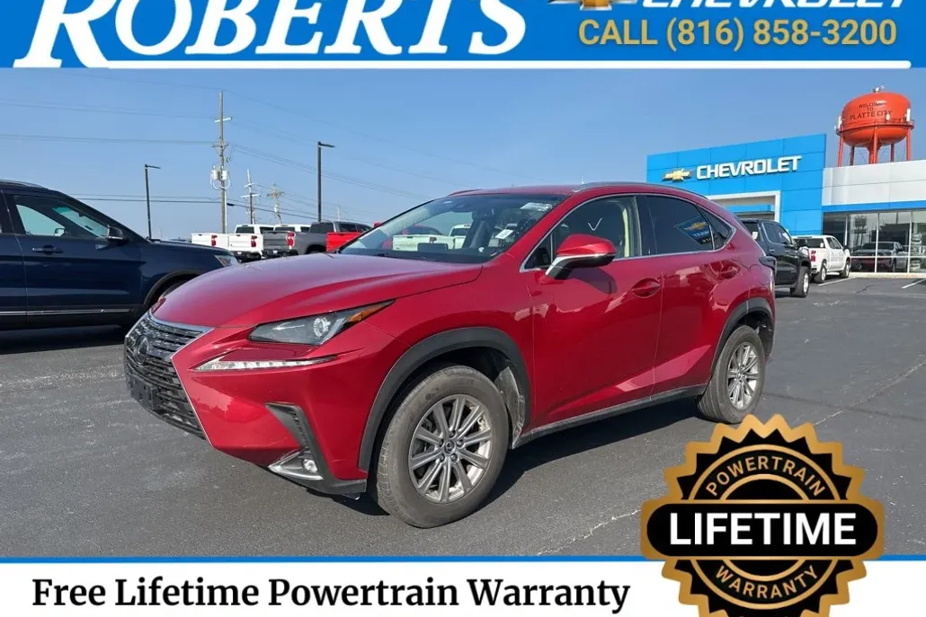 2019 Lexus NX 300 F SPORT photo 1