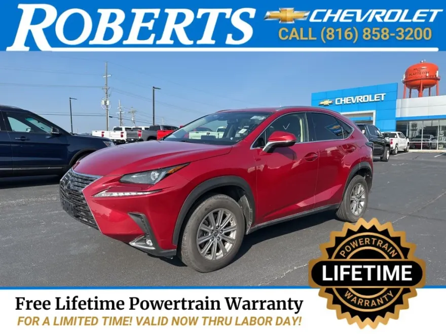 2019 Lexus NX 300 F SPORT photo 1