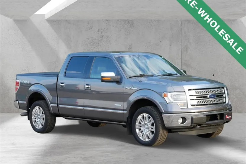 2013 Ford F-150 Platinum photo 1