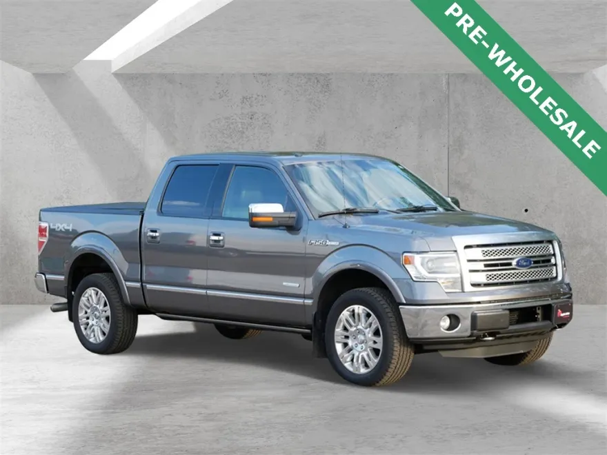 2013 Ford F-150 Platinum photo 1