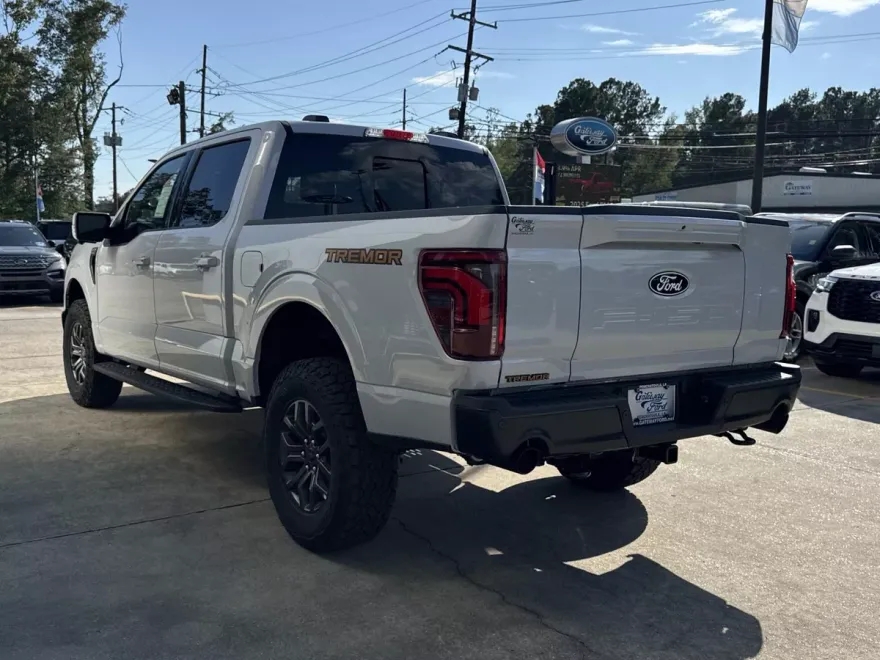2025 Ford F-150 Tremor photo 1