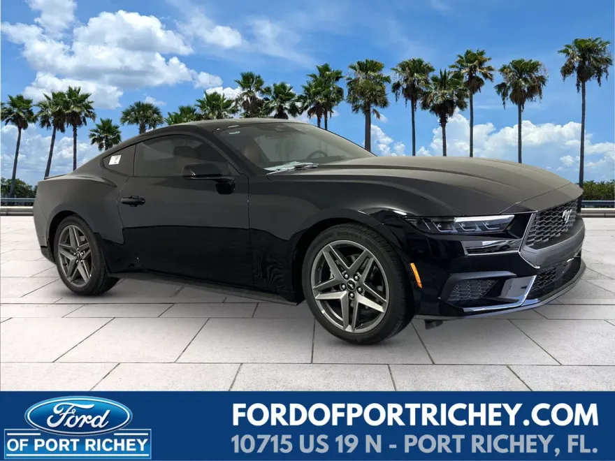 2025 Ford Mustang EcoBoost Premium photo 1