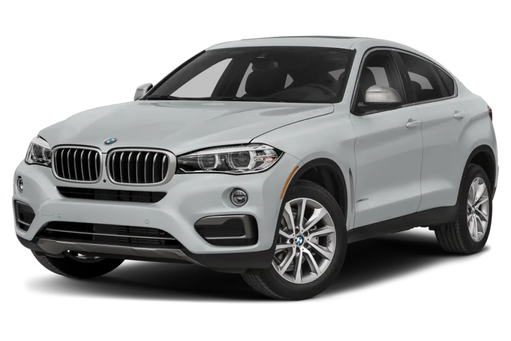 2019 Bmw X6 xDrive35i photo 1