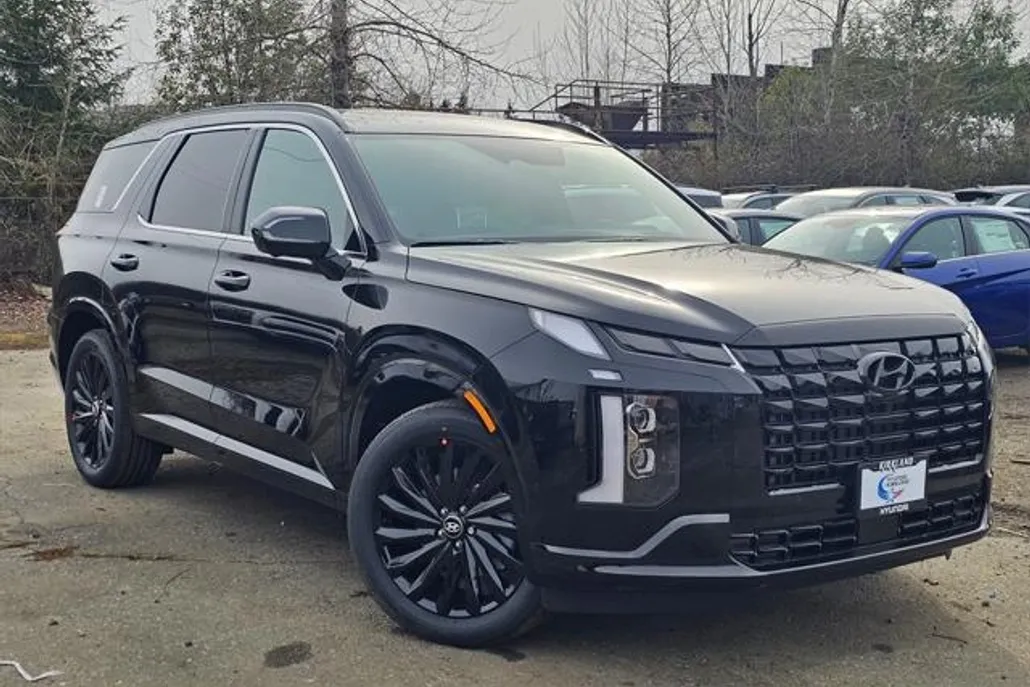 2025 Hyundai Palisade Calligraphy photo 1
