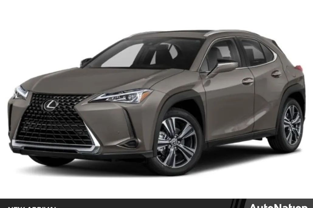 2019 Lexus UX 200 photo 1