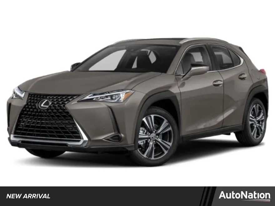 2019 Lexus UX 200 photo 1