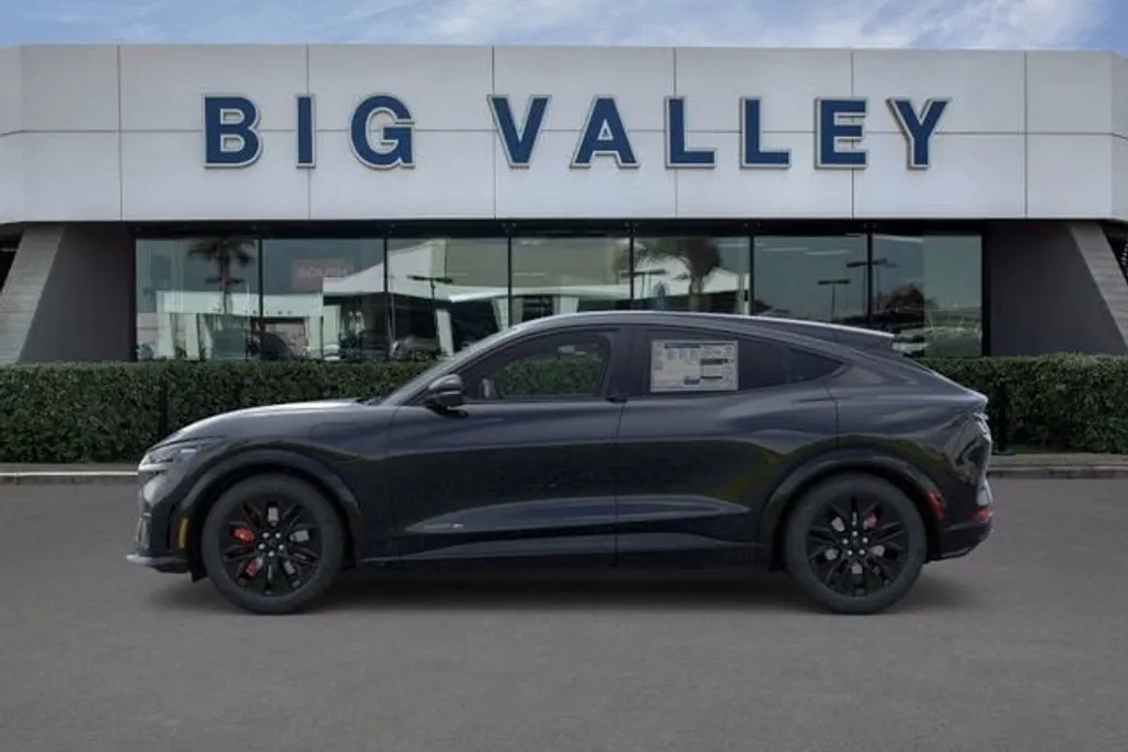 2025 Ford Mustang Mach-E Premium photo 1