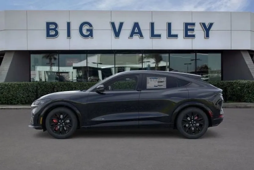 2025 Ford Mustang Mach-E Premium photo 1