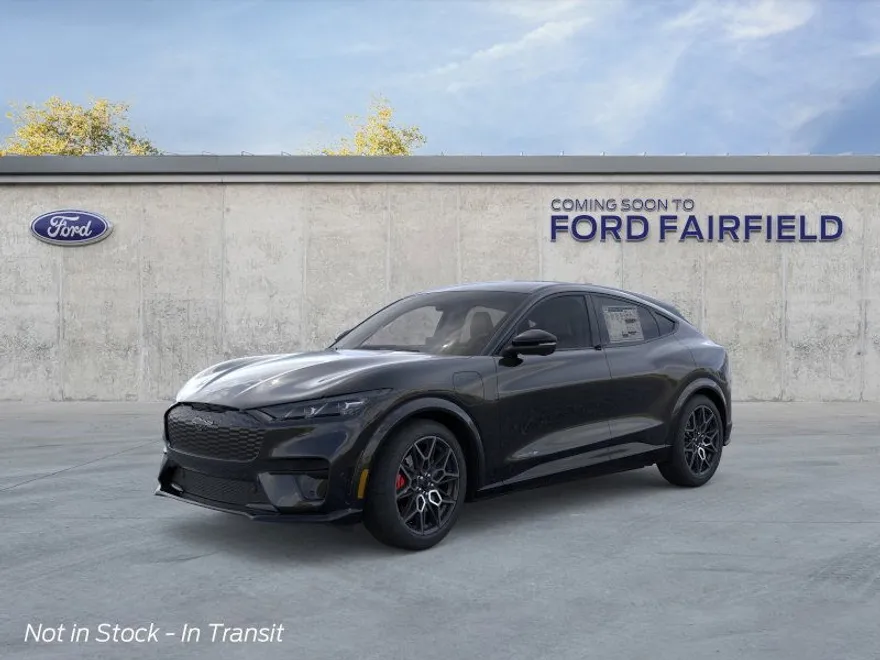 2025 Ford Mustang Mach-E GT photo 1