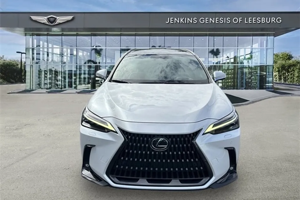 2022 Lexus NX 350h Luxury photo 1
