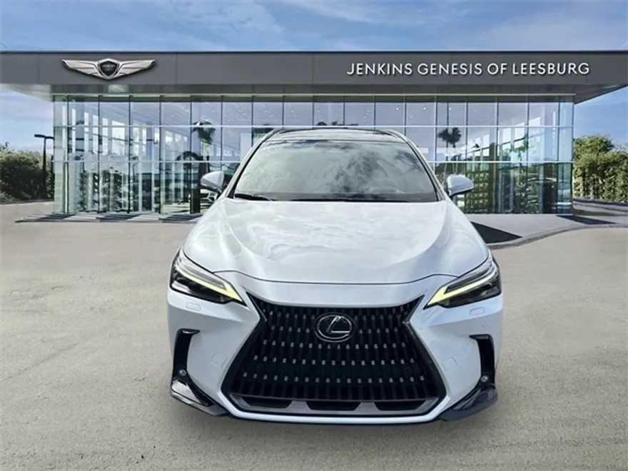 2022 Lexus NX 350h Luxury photo 1
