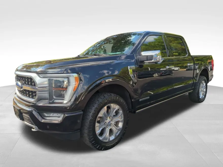2023 Ford F-150 Platinum photo 1