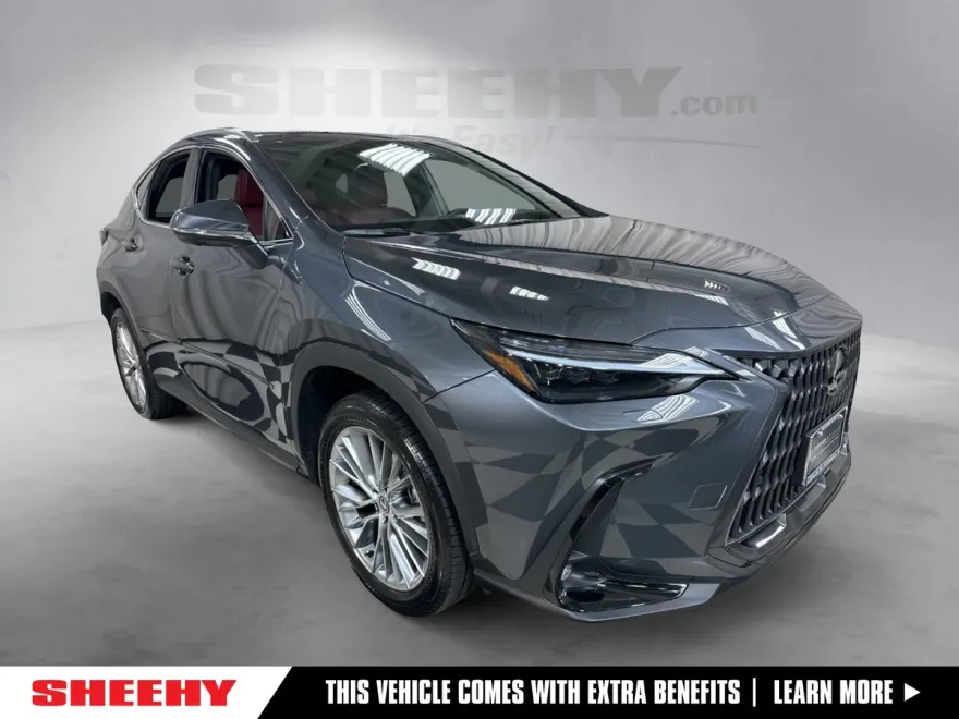 2024 Lexus NX 350 Luxury photo 1