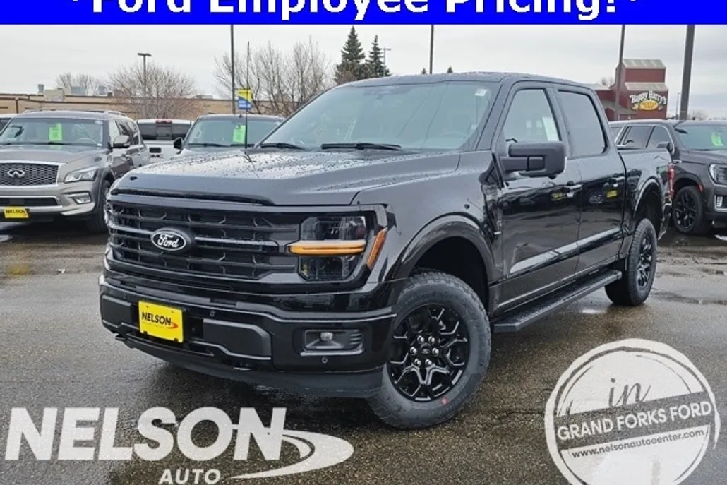 2025 Ford F-150 XLT photo 1