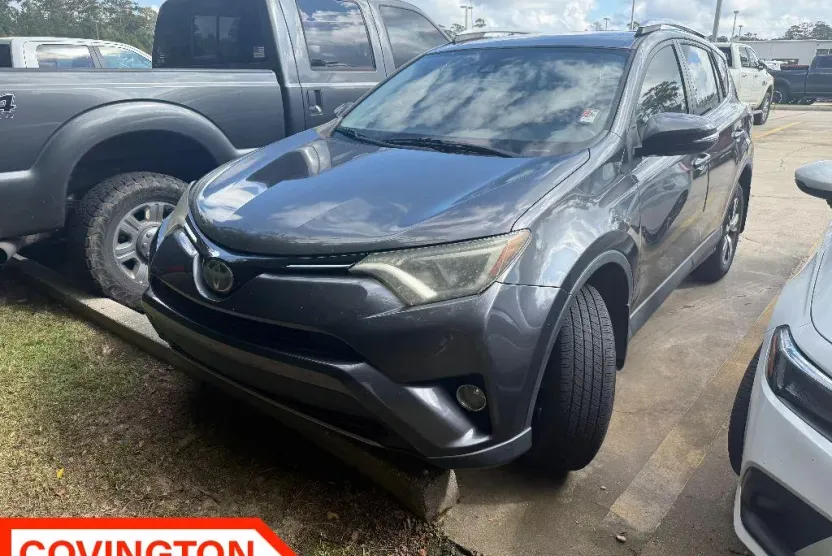 2017 Toyota RAV4 XLE photo 1
