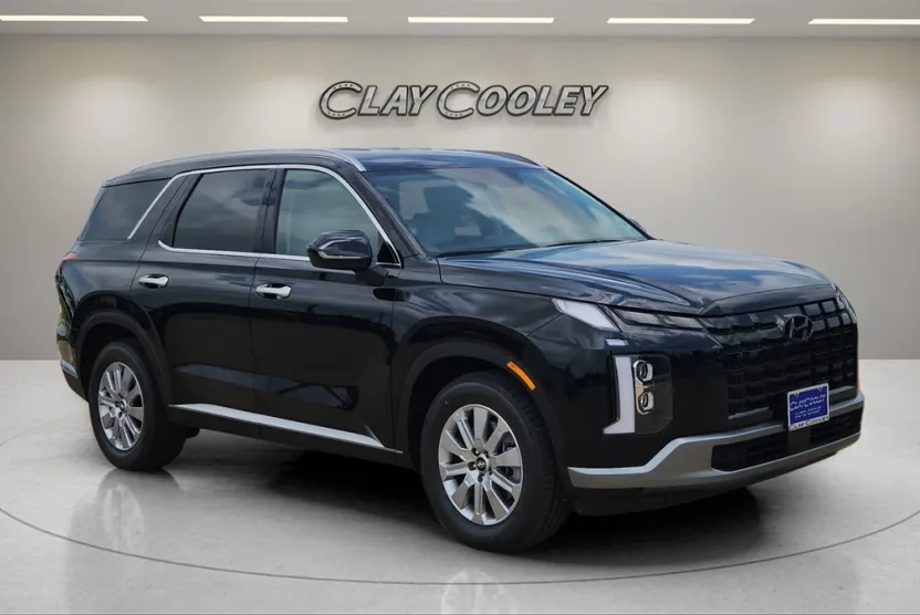 2025 Hyundai Palisade SEL photo 1