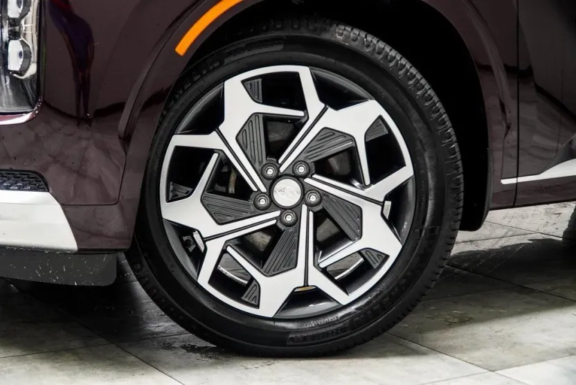 2021 Hyundai Palisade Calligraphy photo 1