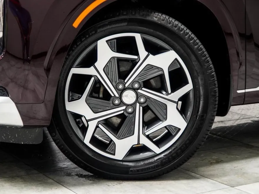 2021 Hyundai Palisade Calligraphy photo 1