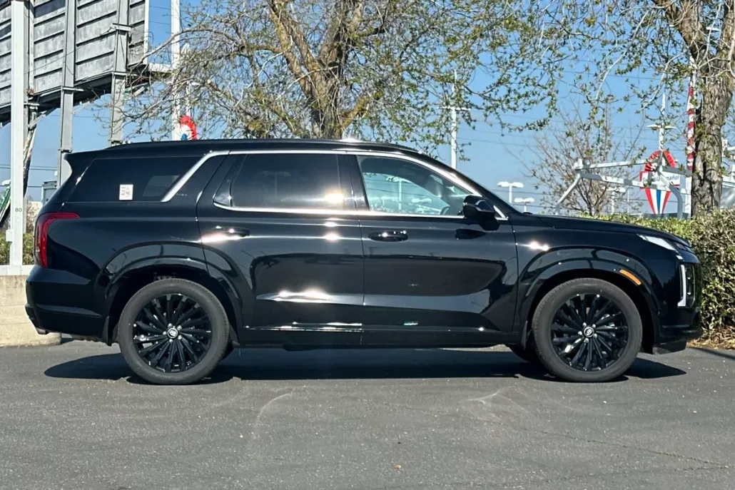 2025 Hyundai Palisade Calligraphy photo 1