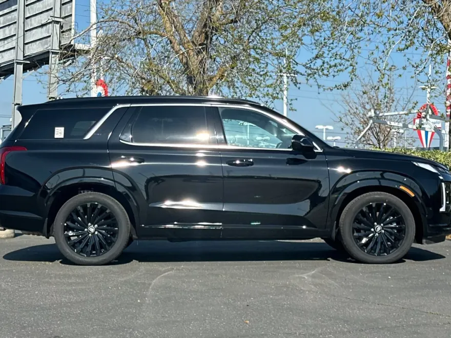 2025 Hyundai Palisade Calligraphy photo 1