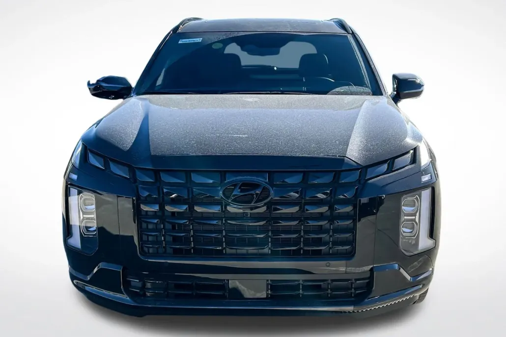 2025 Hyundai Palisade Calligraphy photo 1