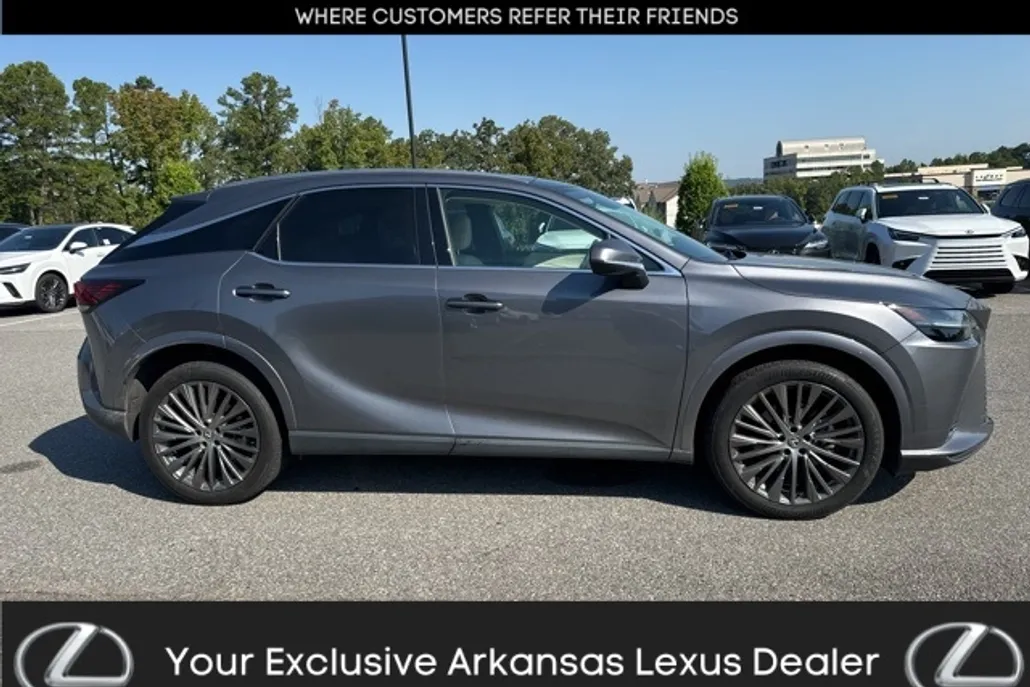 2023 Lexus RX 350 Luxury photo 1