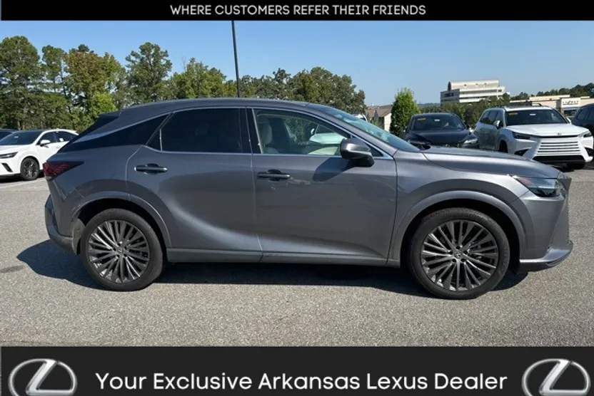2023 Lexus RX 350 Luxury photo 1