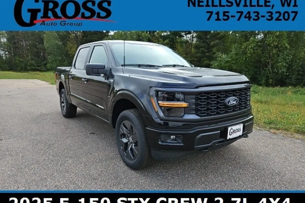 2025 Ford F-150 STX photo 1